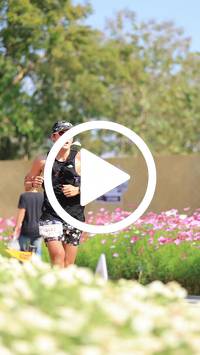 BIB:  <button type="button" onclick="openModal(27588028)" class="btn btn-primary btn-sm float-right" data-toggle="modal" data-target=".modal-high-quality">
                <i class="fa fa-download"></i> Download
                </button>